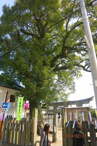 X@鉺Uł`