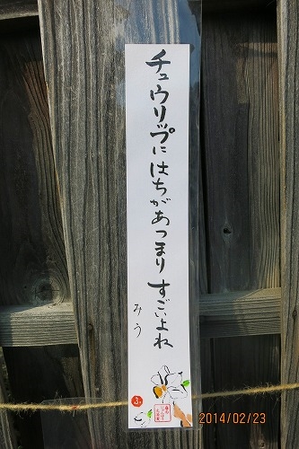 X@鉺Uł`