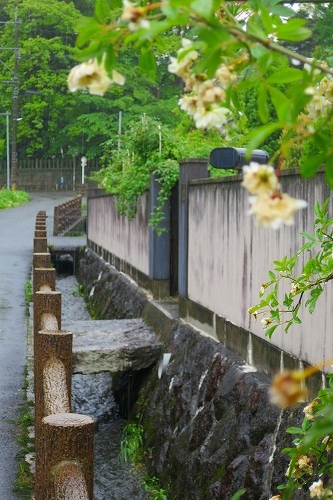 雨の筑前内野宿は長崎街道の宿場町