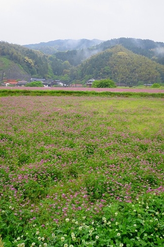 雨の筑前内野宿は長崎街道の宿場町