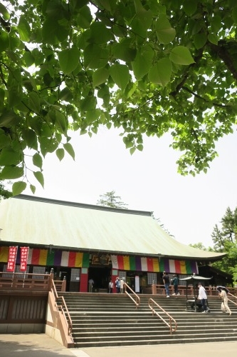 川越散歩|現存する川越城本丸御殿と喜多院散歩と地元武蔵野うどん