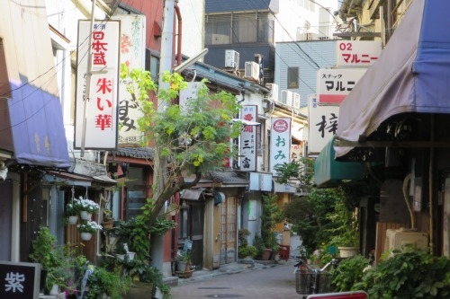 富岡八幡宮と門前仲町の昭和の街を散歩