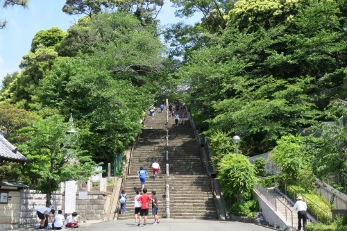 池上本門寺を散歩|西郷隆盛と勝海舟が会談した松濤園を散歩