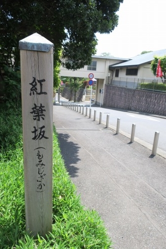 池上本門寺を散歩|西郷隆盛と勝海舟が会談した松濤園を散歩