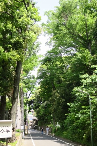 池上本門寺を散歩|西郷隆盛と勝海舟が会談した松濤園を散歩