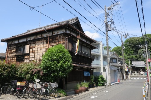 池上本門寺を散歩|西郷隆盛と勝海舟が会談した松濤園を散歩