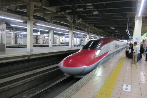 弘前を散歩|新緑もみじの弘前城散歩と禅林街のマーメイド仏教彫刻