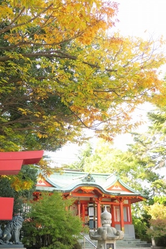 尼崎を散歩|クラシック甲子園PL学園桑田と尼崎寺町をぶらり散歩