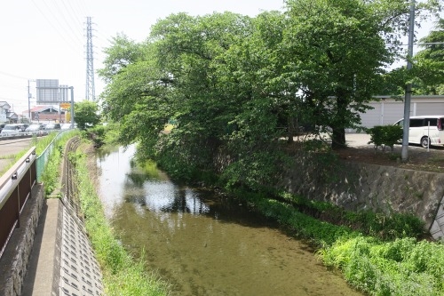 川越散歩|現存する川越城本丸御殿と喜多院散歩と地元武蔵野うどん
