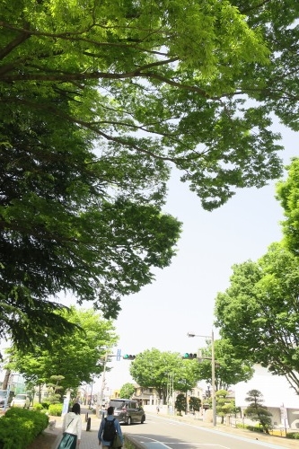 川越散歩|現存する川越城本丸御殿と喜多院散歩と地元武蔵野うどん