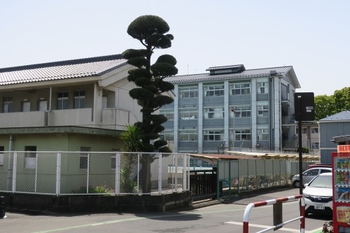 川越散歩|現存する川越城本丸御殿と喜多院散歩と地元武蔵野うどん