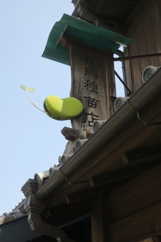 川越散歩|現存する川越城本丸御殿と喜多院散歩と地元武蔵野うどん