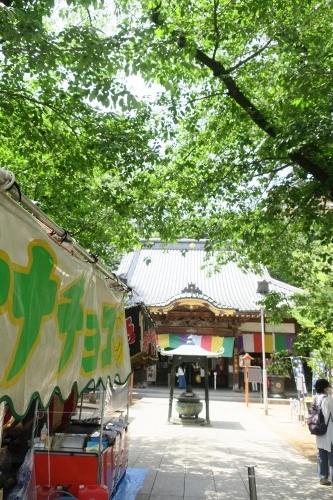 川越散歩|現存する川越城本丸御殿と喜多院散歩と地元武蔵野うどん