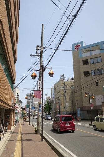 川越散歩|現存する川越城本丸御殿と喜多院散歩と地元武蔵野うどん