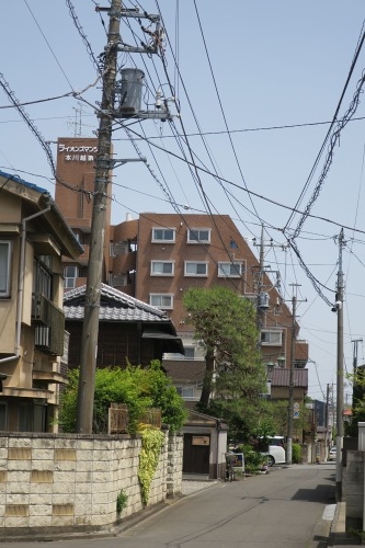 川越散歩|現存する川越城本丸御殿と喜多院散歩と地元武蔵野うどん