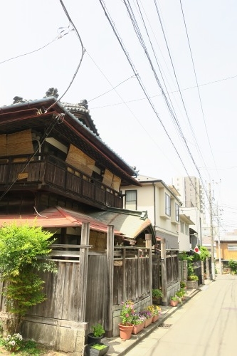 川越散歩|現存する川越城本丸御殿と喜多院散歩と地元武蔵野うどん