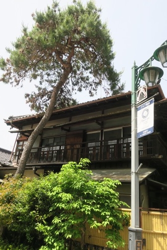 川越散歩|現存する川越城本丸御殿と喜多院散歩と地元武蔵野うどん