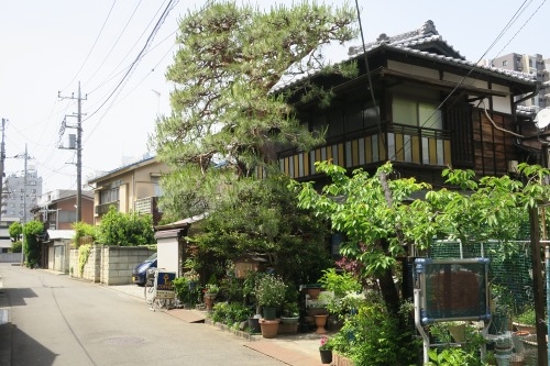 川越散歩|現存する川越城本丸御殿と喜多院散歩と地元武蔵野うどん