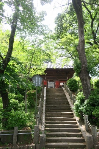川越散歩|現存する川越城本丸御殿と喜多院散歩と地元武蔵野うどん