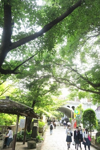 北区王子を散歩|飛鳥山のあじさい通りとイザナギ祭神の王子神社
