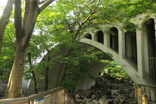 北区王子を散歩|飛鳥山のあじさい通りとイザナギ祭神の王子神社