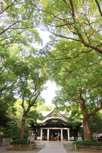 北区王子を散歩|飛鳥山のあじさい通りとイザナギ祭神の王子神社