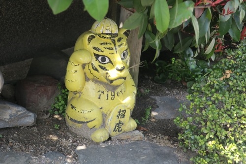 上狛茶問屋街を散歩|奈良街道を宇治茶福寿園から上狛環濠集落を散歩