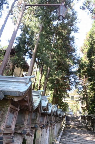 生駒を散歩|門前町生駒を散歩とおいしい上等カレーカツチーズのせ