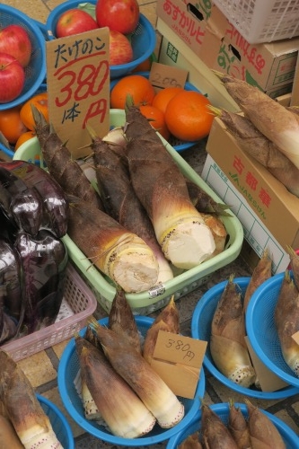生駒を散歩|門前町生駒を散歩とおいしい上等カレーカツチーズのせ