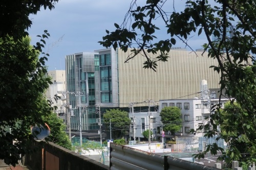 一本松坂を散歩(港区麻布)将門を成敗にきた源経基が衣服をかけた松