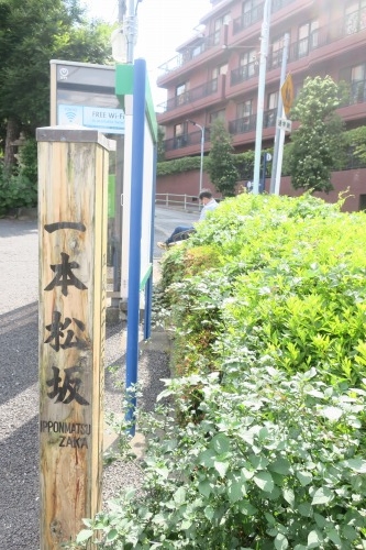 一本松坂を散歩(港区麻布)将門を成敗にきた源経基が衣服をかけた松