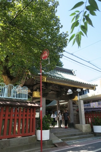 王子から散歩|王子稲荷神社と昭和の風景・東十条の商店街をふと散歩
