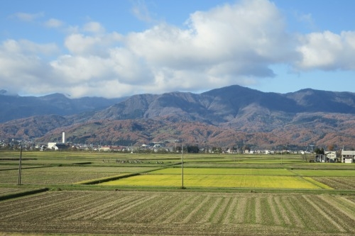春日山を散歩|紅葉の季節に上杉謙信の春日山城と林泉寺でお墓参り
