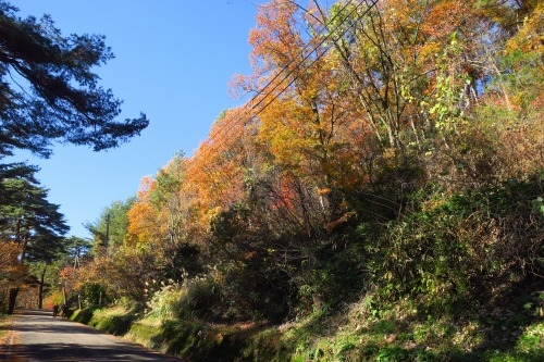 春日山を散歩|紅葉の季節に上杉謙信の春日山城と林泉寺でお墓参り