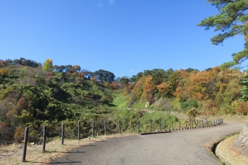 春日山を散歩|紅葉の季節に上杉謙信の春日山城と林泉寺でお墓参り