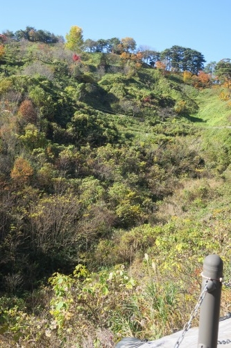 春日山を散歩|紅葉の季節に上杉謙信の春日山城と林泉寺でお墓参り
