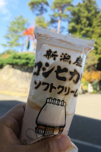 春日山を散歩|紅葉の季節に上杉謙信の春日山城と林泉寺でお墓参り