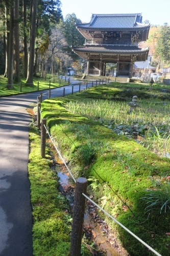 春日山を散歩|紅葉の季節に上杉謙信の春日山城と林泉寺でお墓参り