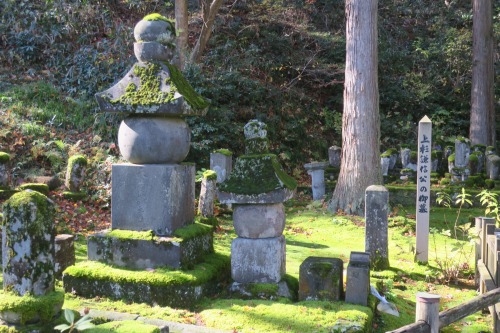 春日山を散歩|紅葉の季節に上杉謙信の春日山城と林泉寺でお墓参り