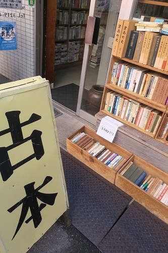 秋葉原から散歩|湯島聖堂から聖橋を渡って北の丸科学技術館まで散歩