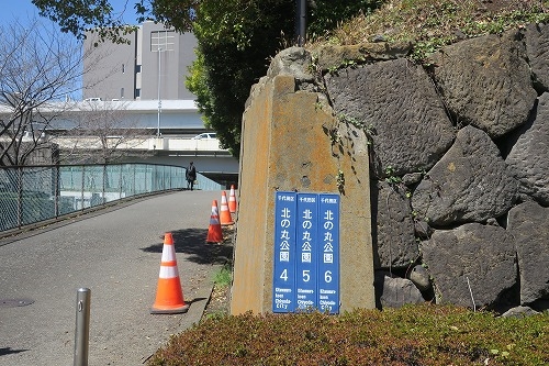 秋葉原から散歩|湯島聖堂から聖橋を渡って北の丸科学技術館まで散歩