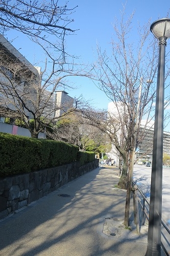 秋葉原から散歩|湯島聖堂から聖橋を渡って北の丸科学技術館まで散歩