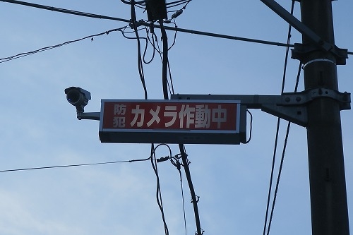 弥彦を散歩|越後国の一宮・弥彦神社で神様を感じるか散歩してみた