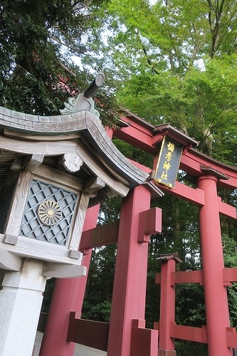 弥彦を散歩|越後国の一宮・弥彦神社で神様を感じるか散歩してみた