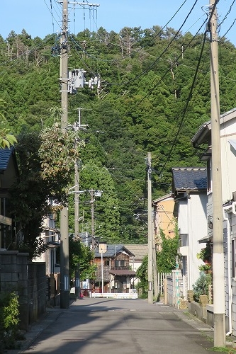 弥彦を散歩|越後国の一宮・弥彦神社で神様を感じるか散歩してみた