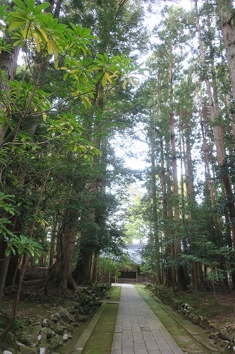 弥彦を散歩|越後国の一宮・弥彦神社で神様を感じるか散歩してみた