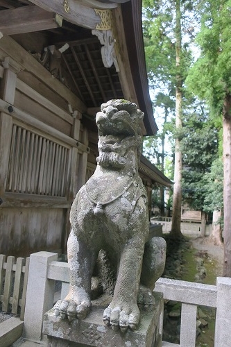 弥彦を散歩|越後国の一宮・弥彦神社で神様を感じるか散歩してみた
