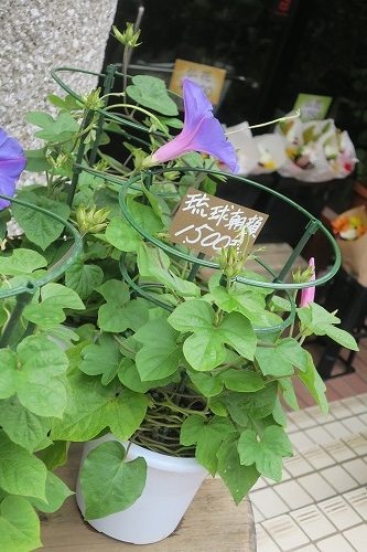 蒲田を散歩|蒲田駅から羽田へ散歩と糀谷商店街をほんとまじぶらぶら