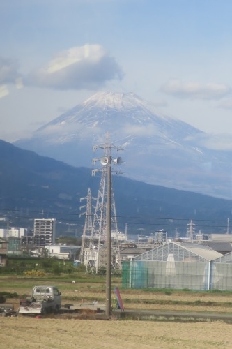 三島を散歩|三島広小路から看板建築をみながら三嶋大社まで散歩で