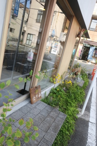 三島を散歩|三島広小路から看板建築をみながら三嶋大社まで散歩で